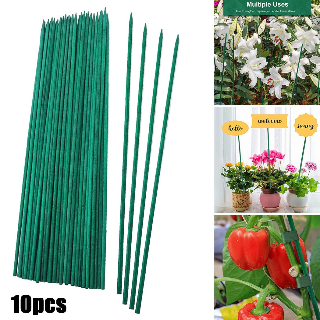 10pcs 40cm Green Plant Support - огляд і ціна Plant Support Stake