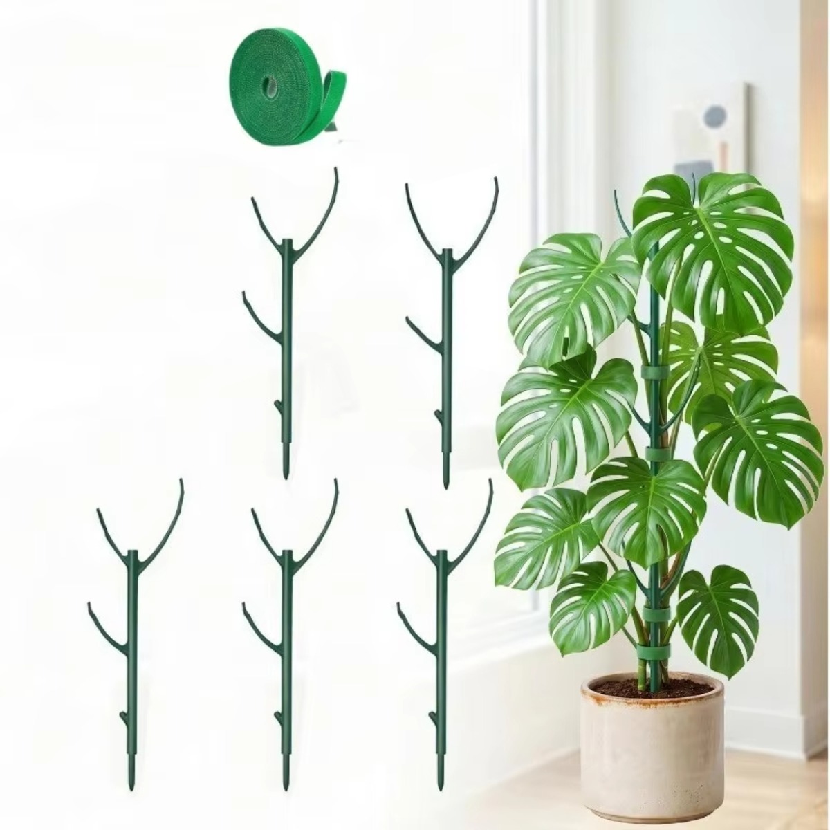 6Pcs Monstera Plant Support Se - огляд і ціна Plant Support Stake