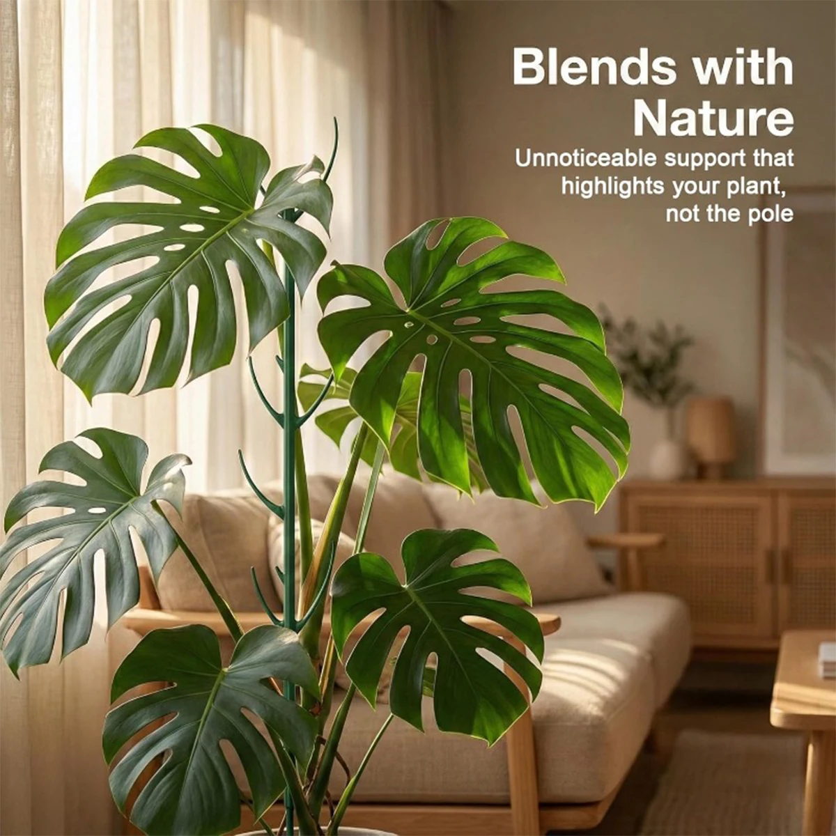 6Pcs Monstera Plant Support Se - огляд і ціна Plant Support Stake