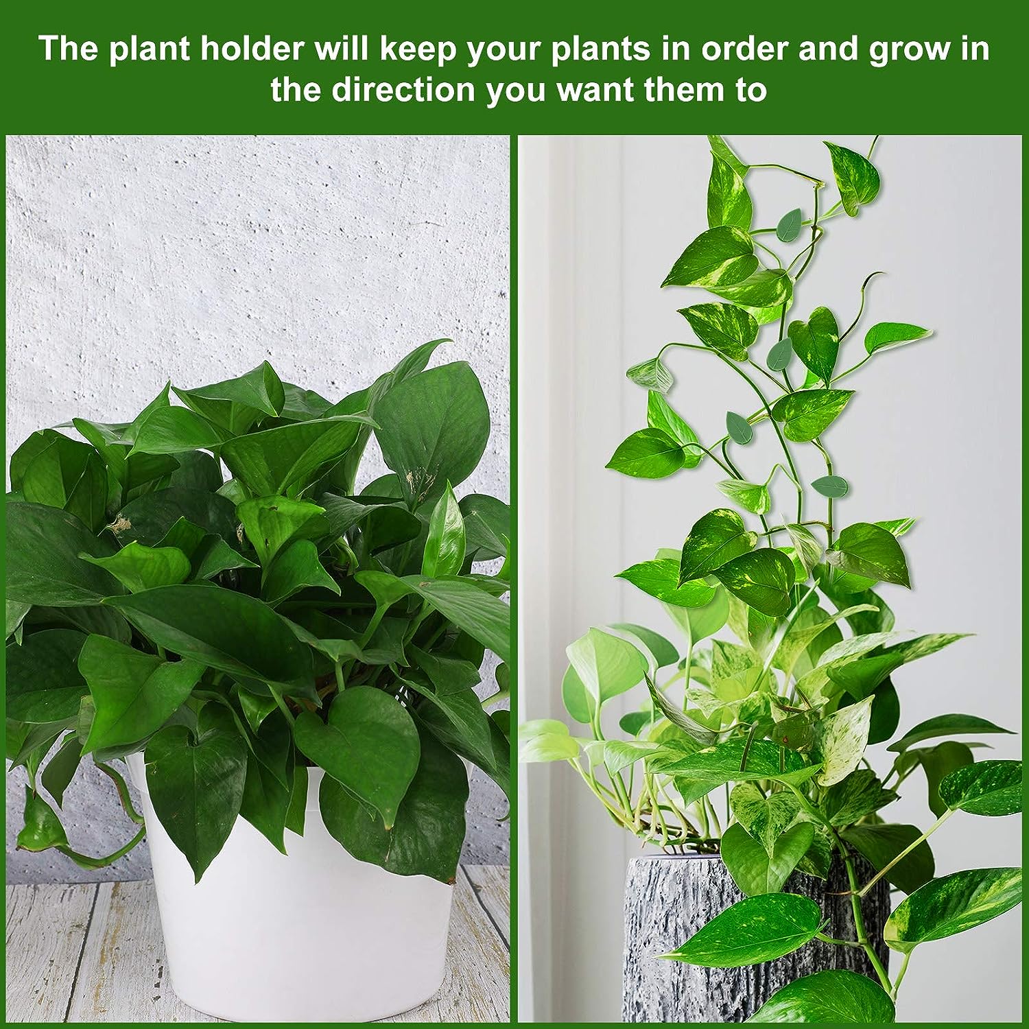 Plant Climbing Wall Fixture Cl - огляд і ціна Plant Support Stake