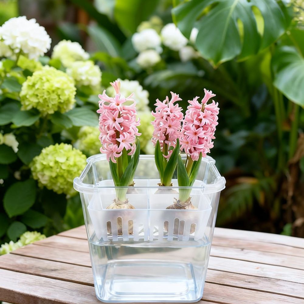 Hydroponic Vase For Tulip Lily - огляд і ціна Indoor Plants
