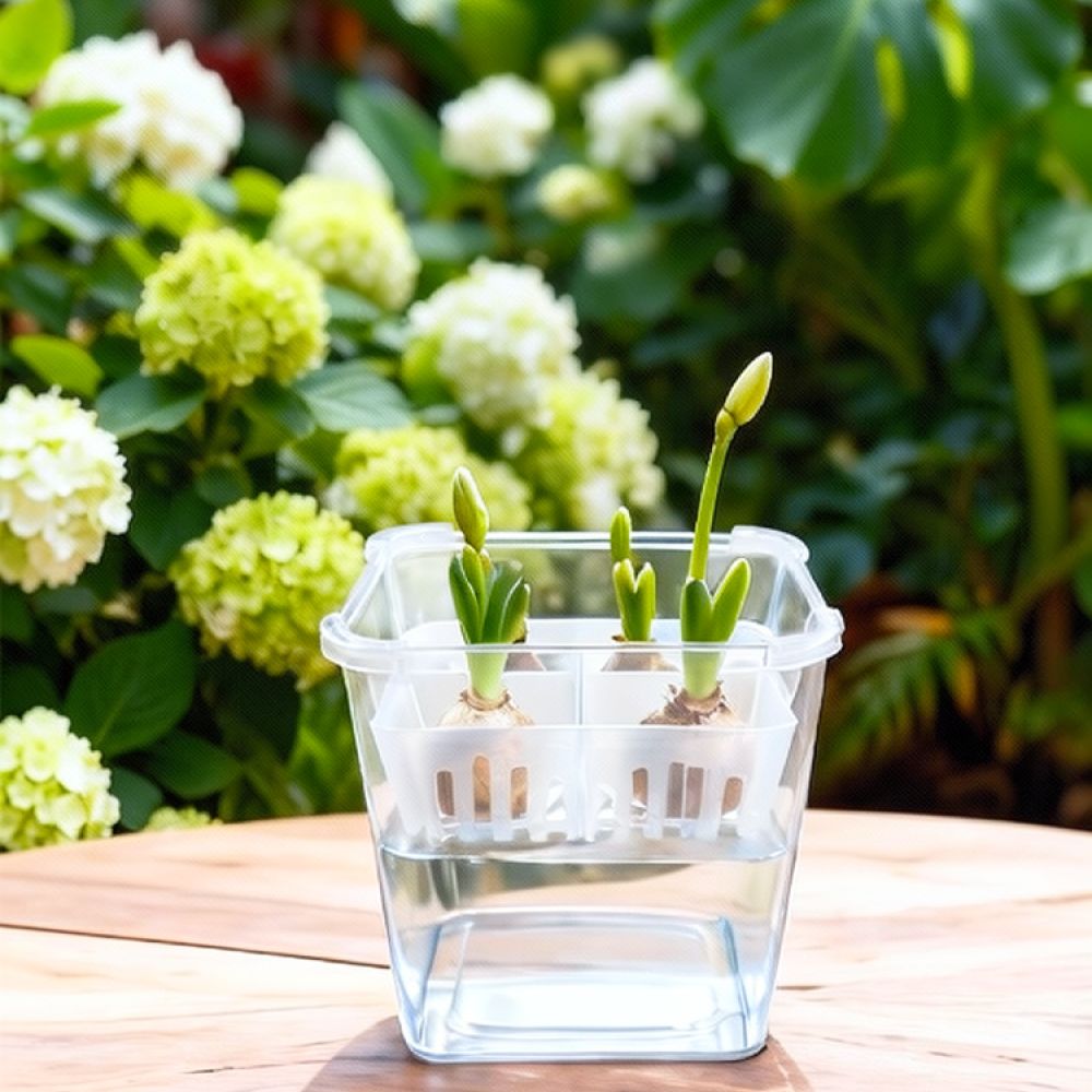 Hydroponic Vase For Tulip Lily - огляд і ціна Indoor Plants