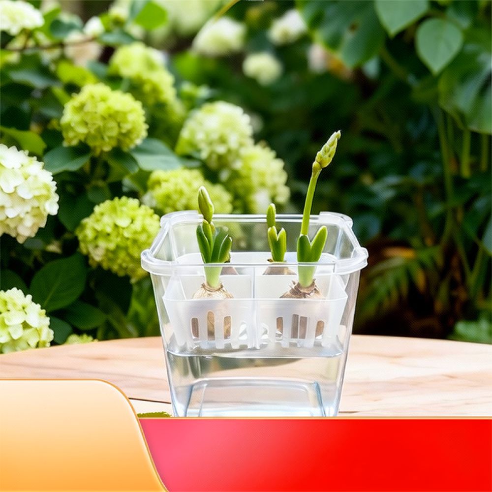 Hydroponic Vase For Tulip Lily - огляд і ціна Indoor Plants