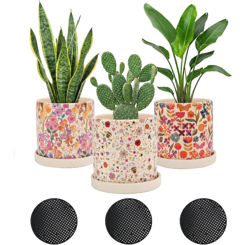 3Pcs Floral Ceramic Planters w - огляд і ціна Snake Plant Ceramic