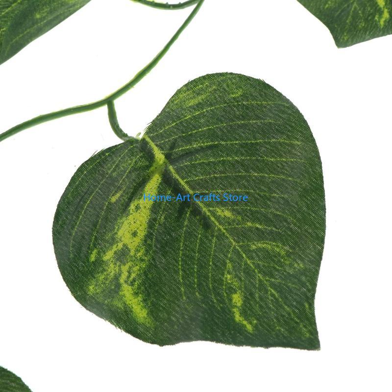 Y3NA Plants Climber Vines Flex - огляд і ціна Snake Plant