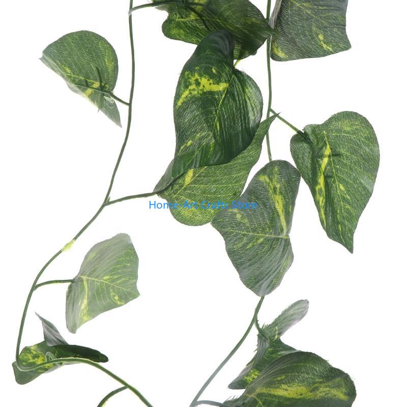 Y3NA Plants Climber Vines Flex - огляд і ціна Snake Plant