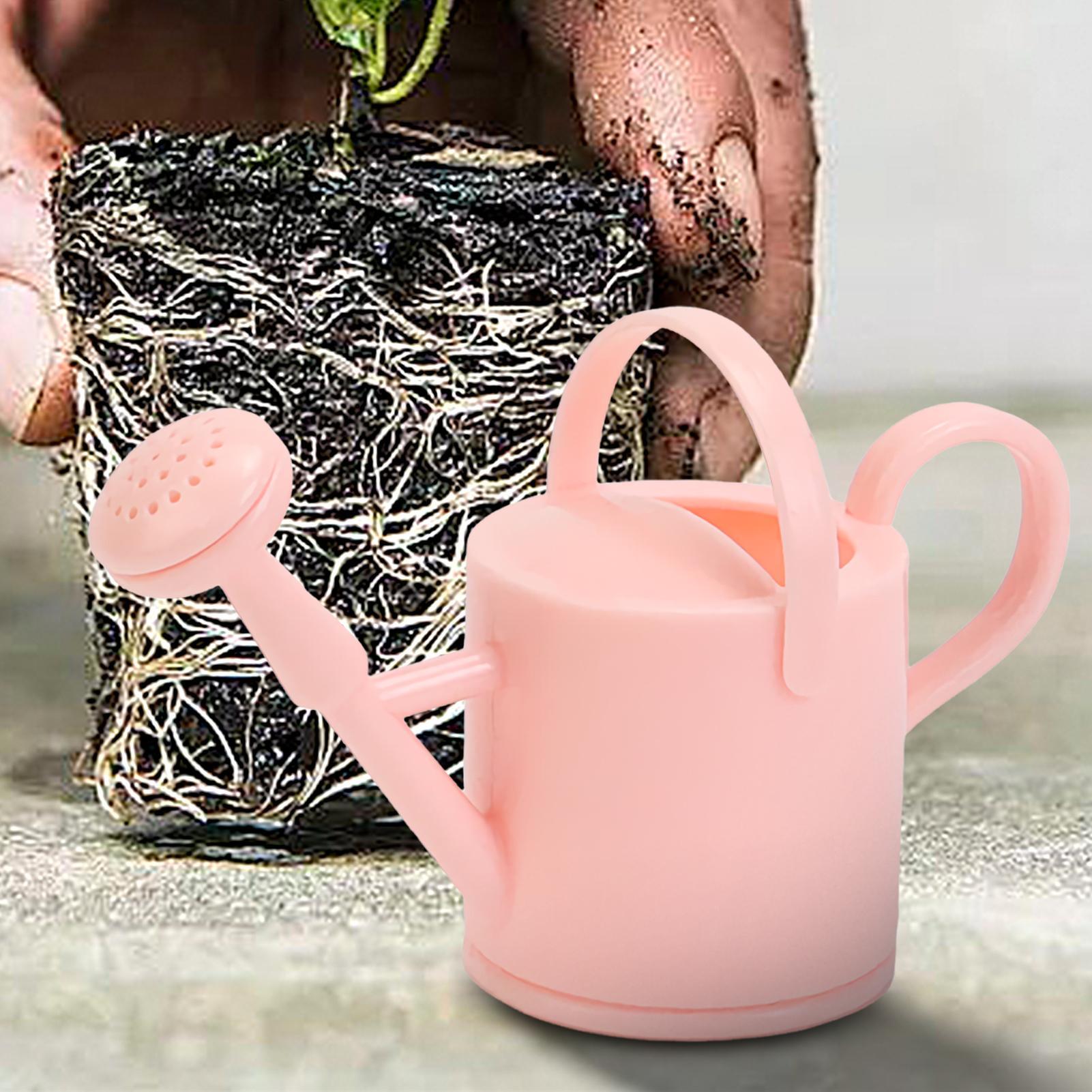 Small Kids Watering Can Flexib - огляд і ціна Succulent Set