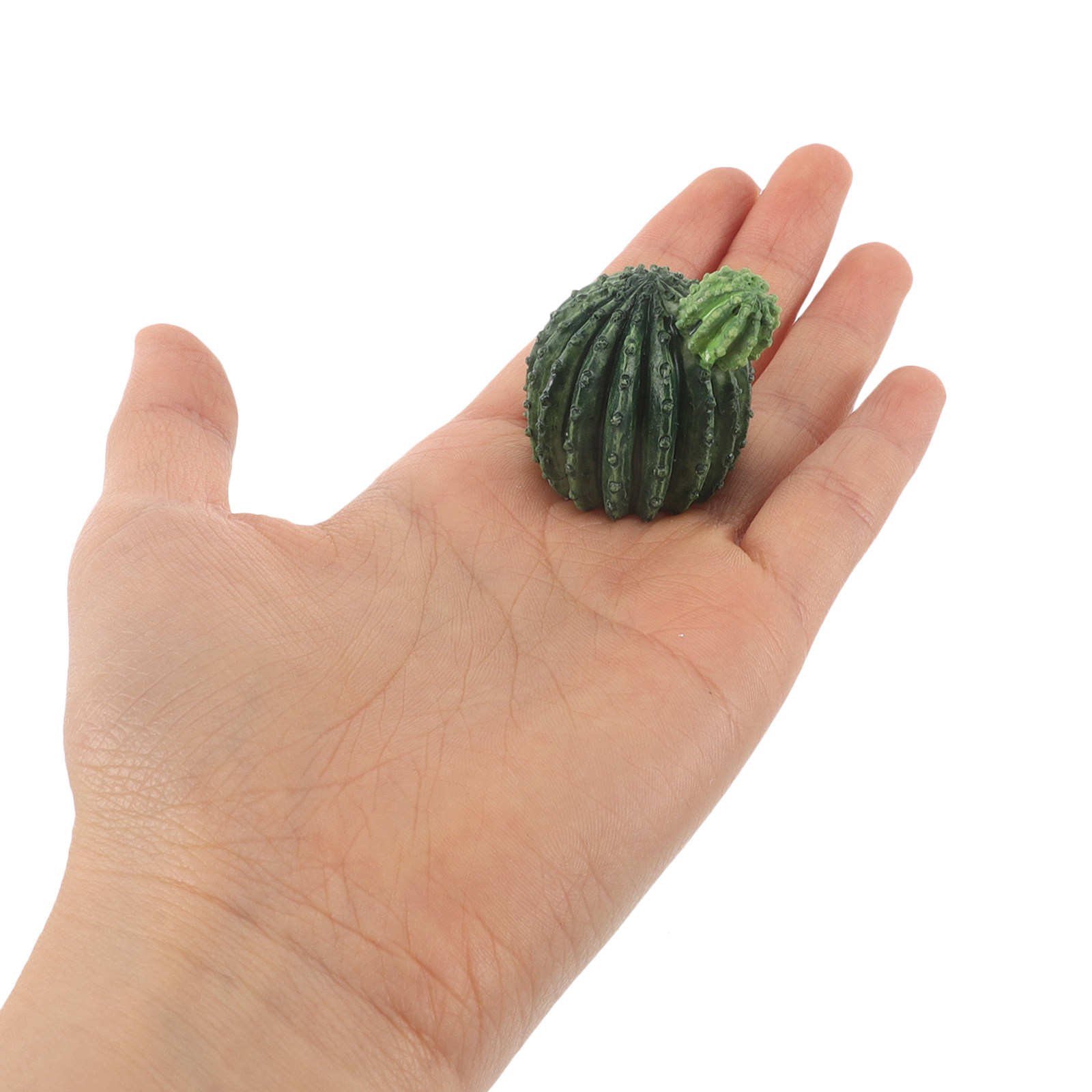Mini Resin Cactus Succulent Pl - огляд і ціна Succulent Set
