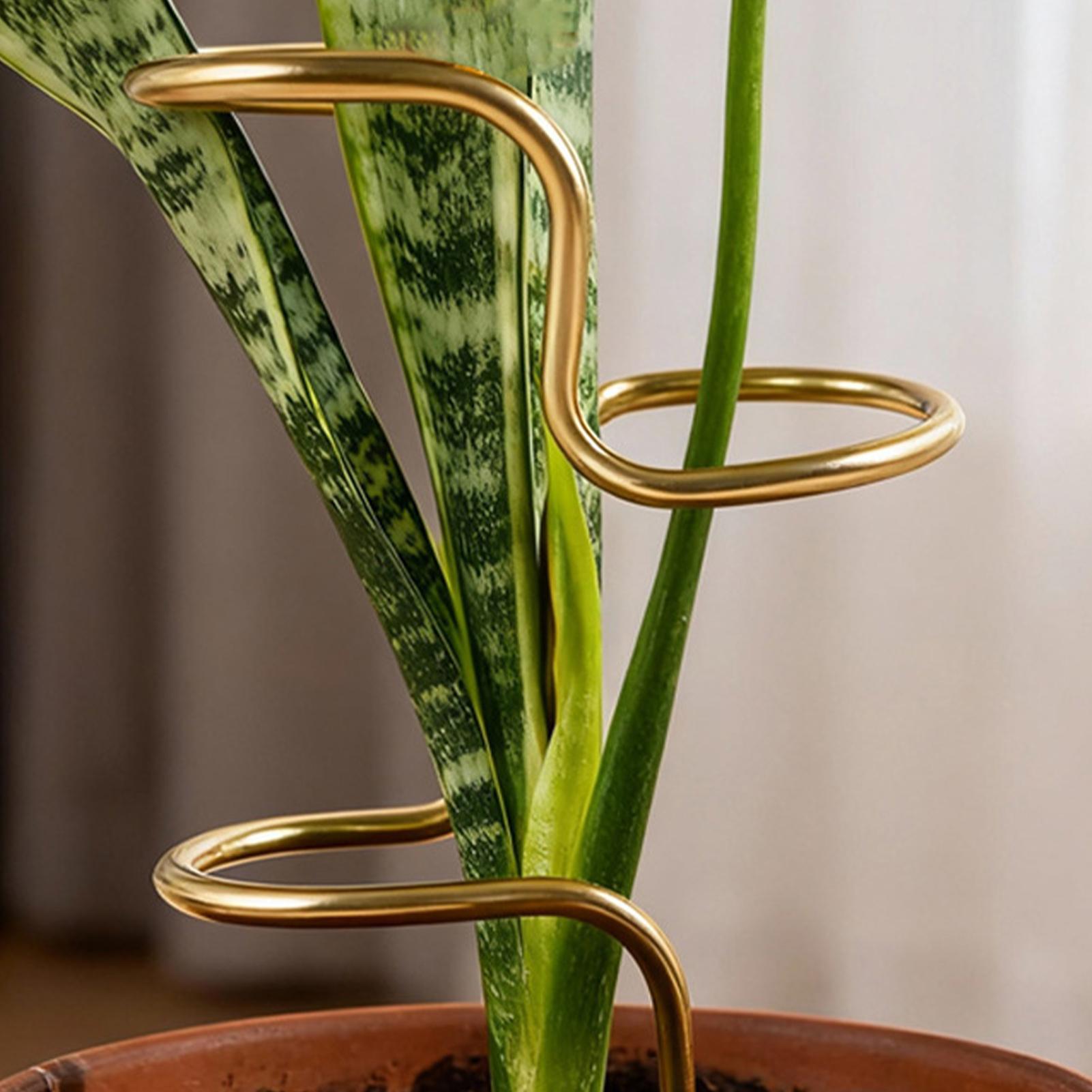 Garden Plant stem fixing suppo - огляд і ціна Plant Support Stake