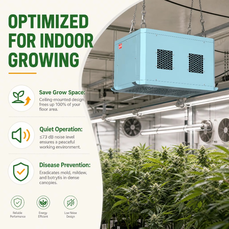 Powerful Greenhouse Dehumidifi - огляд і ціна Indoor Plants